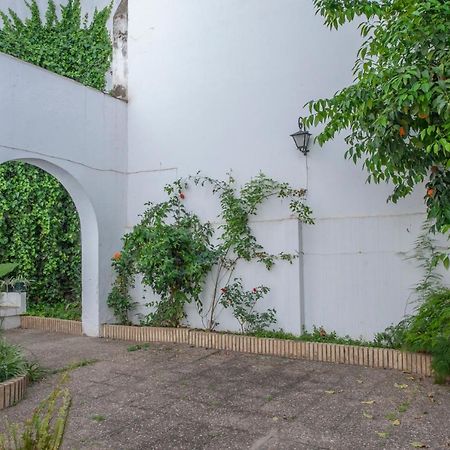 O&L Aire - Spacious And Bright Apartment In The Heart Of セビリア エクステリア 写真