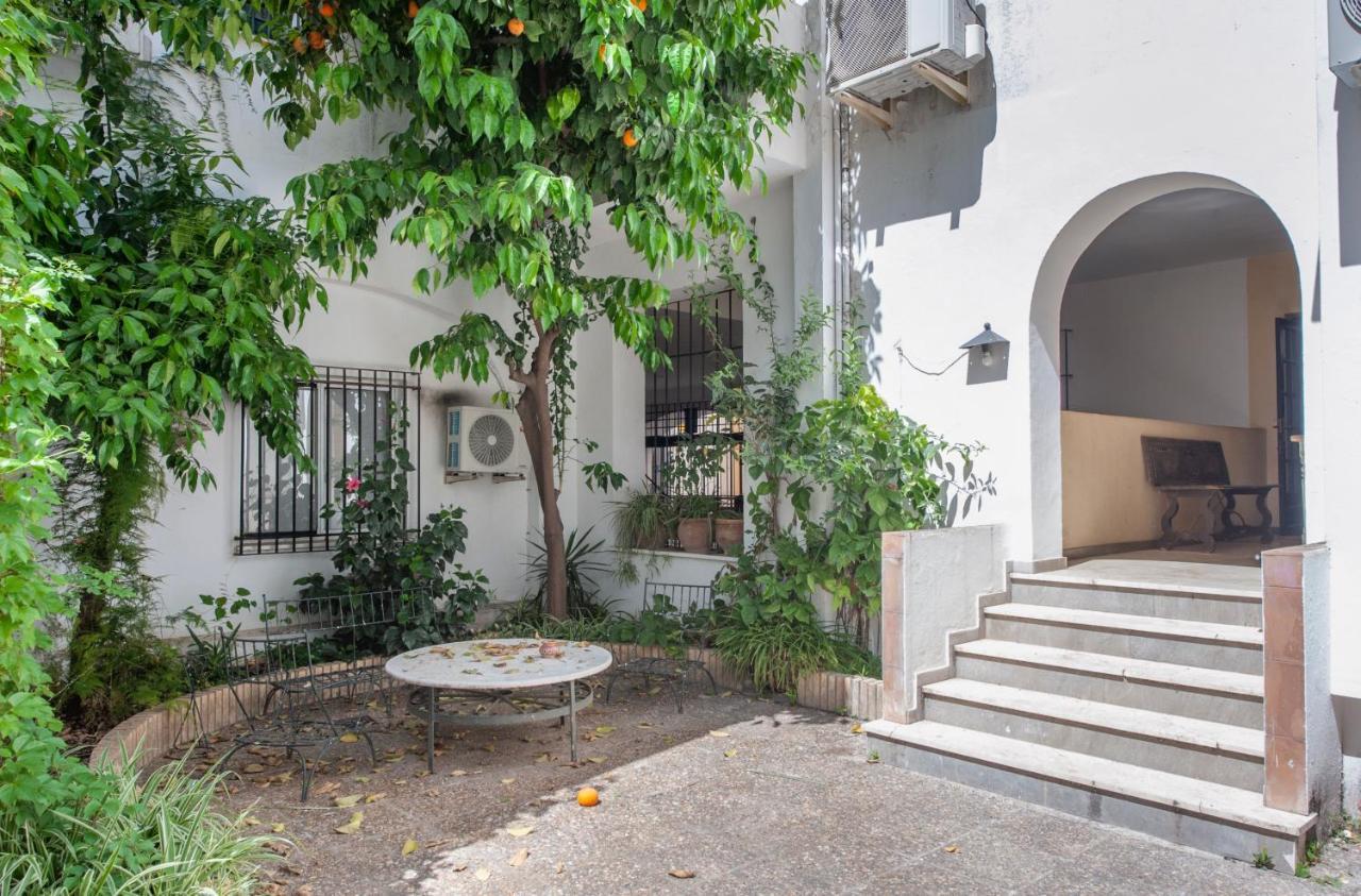 O&L Aire - Spacious And Bright Apartment In The Heart Of セビリア エクステリア 写真